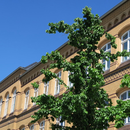 Germany, north germany, griffin forest, mecklenburg vorpommern, architecture houses in the old town with a lot of blue skyの写真素材