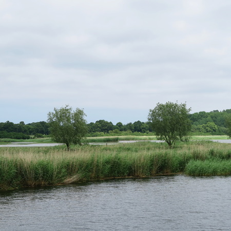 Germany, north germany, griffin forest, mecklenburg vorpommern, beautiful water landscape from the harbor to the district wieck,の写真素材