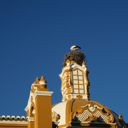 stork has nest built in faro, europe portugal on a church against a blue skyの写真素材