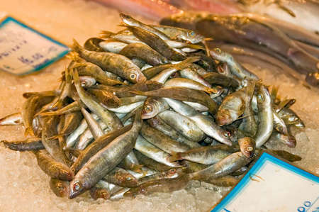 display of fresh herrings in a greek  market