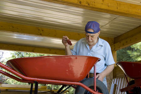 Senior male painting a wheel barrow in red -  expressive face
