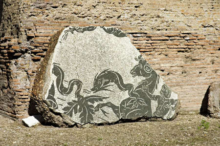 Caracalla mosaic 1, details, from Baths or Thermae of Caracalla, Rome, Italyの写真素材