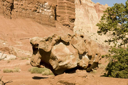 Utah, USA - April 29th, 2006 : tooth rock formations closeup on Capitol Reef National Park, Utah, USAのeditorial素材