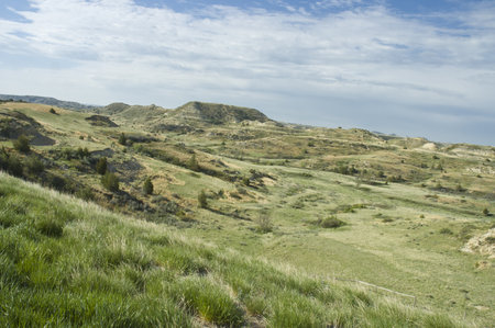 North Dakota, USA - May 18th, 2006   Scenic view of the Painted Canyon in Theodore Roosevelt National Park, North Dakota, USAのeditorial素材