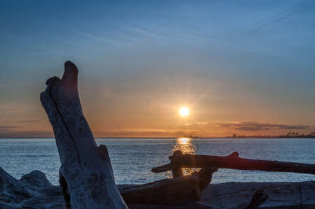 sunset over driftwood in Point Roberts, Washington state, USAの写真素材