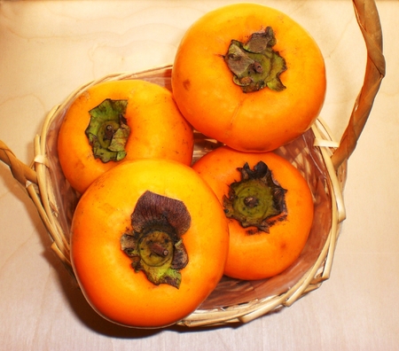 Genuine fruits, ripe persimmonsの写真素材