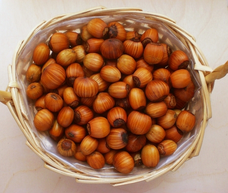 Hazelnuts basketの写真素材