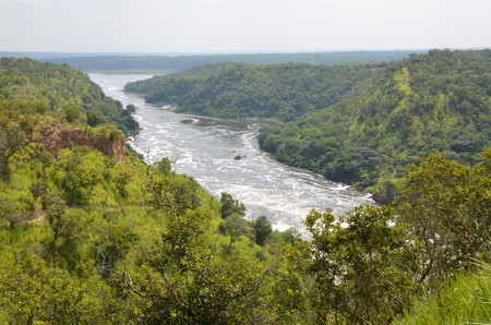 Panorama of the Nile downstream of the Murchison Fallsの写真素材