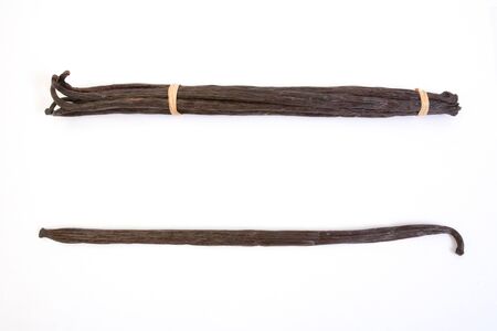 Bourbon vanilla beans from Madagascarの写真素材