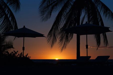 Sunset over a tropical resort with palm tree, deckchairs and umbrellasの写真素材