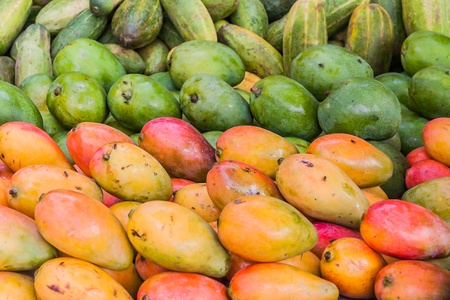 Display mango to the market of Ambilobe, northern Madagascarの写真素材