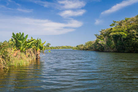 Along the Pangalanes channel, eastern Madagascarの写真素材