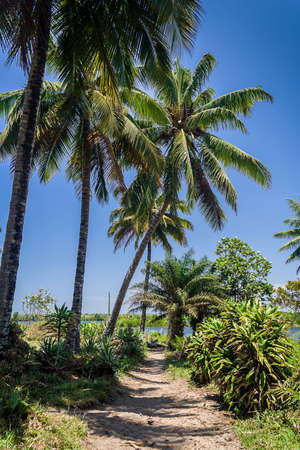 Landscape along the Pangalanes channel, eastern Madagascarの写真素材