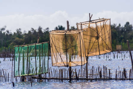 Harrows of shrimp, Pangalanes channel, Madagascarの写真素材