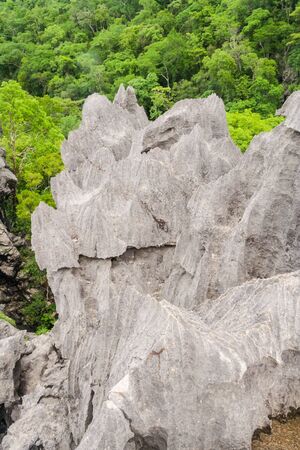 The Tsingy of Ankarana, northern Madagascarの写真素材
