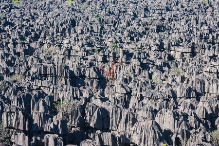 "The Sea of Tsingy", Ankarana National Park, northern Madagascarの写真素材