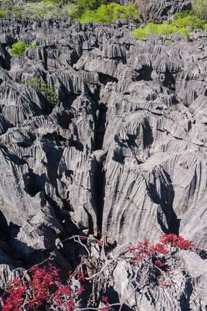 The Tsingy of Ankarana, northern Madagascarの写真素材