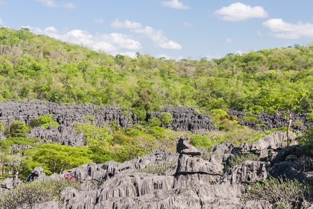 The Tsingy of Ankarana, northern Madagascarの写真素材