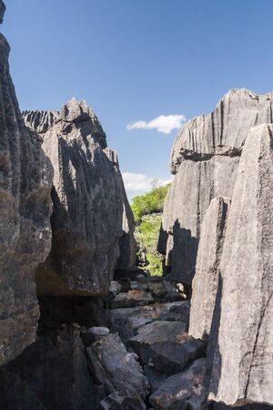 The Tsingy of Ankarana, northern Madagascarの写真素材