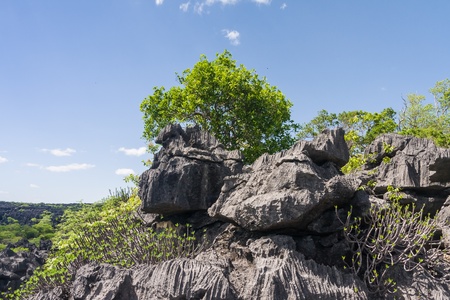 The Tsingy of Ankarana, northern Madagascarの写真素材