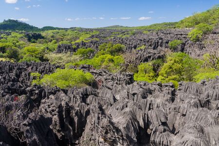 The Tsingy of Ankarana, northern Madagascarの写真素材