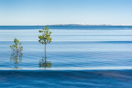 Mangrove to Analalava, western Madagascar