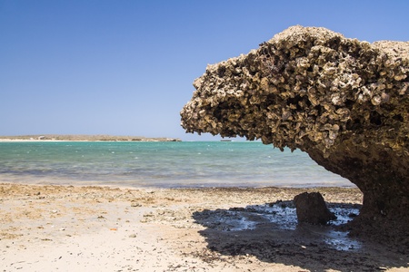 Seascape on the lagoon of Andavadoaka, southwestern Madagascarの写真素材