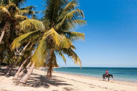 Jumper on the beach of Ifaty, southwestern Madagascarの写真素材