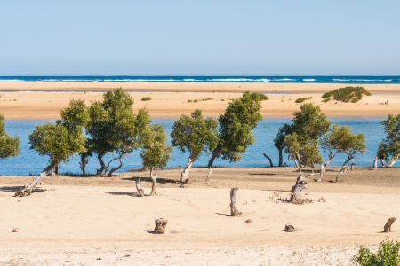 Seascape of Ifaty, southwestern Madagascarの写真素材