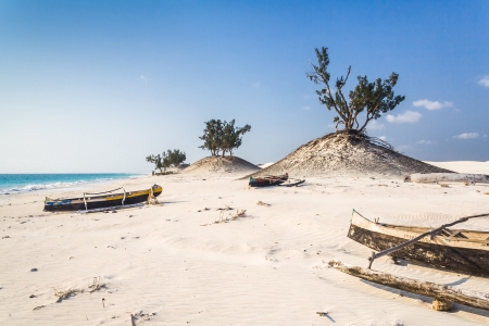 Dunes and wild beach in southern Madagascarの写真素材
