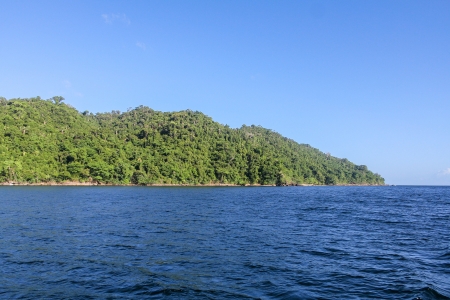 The Masoala forest in eastern Madagascar の写真素材