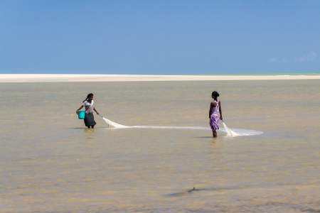 Malagasy women fishing for shrimp net on oct 29, 2007 in the lagoon of Morondava in the east of Madagascarのeditorial素材