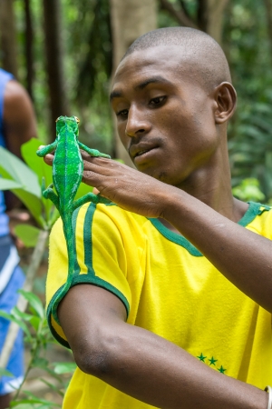 Malagasy man with panther chameleon (furcifer pardalis) on jan 9, 2007 in Nosy Komba (Nosy Be), Madagascarのeditorial素材