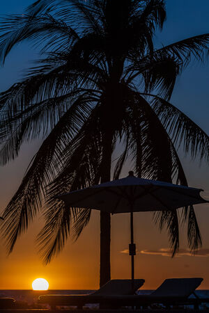 Sunbeds at sunset on a tropical islandの写真素材