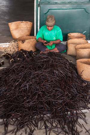 Antalaha, Madagascar, Aug 19 : Malagasy worker manufacturing vanilla in Antalaha, Madagascar on August 19, 2016のeditorial素材