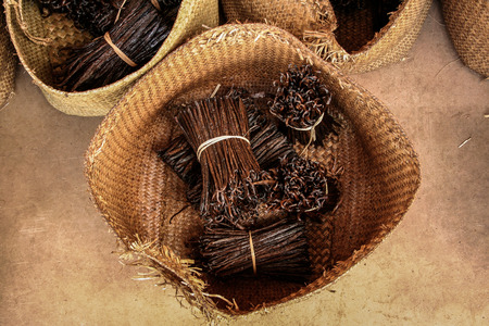 Bunches of Bourbon vanilla of Madagascar in craft basketsの写真素材
