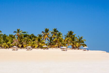 Tropical beach with aligned sunbeds and umbrellas
