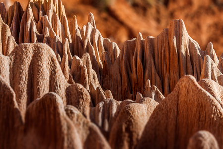 The  Red tsingy of Antsiranana (Diego Suarez), Madagascar. Natural karsts made of sandstone, marl and limestoneの写真素材