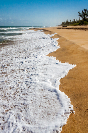 Indian Ocean's beach of eastern Madagascarの写真素材