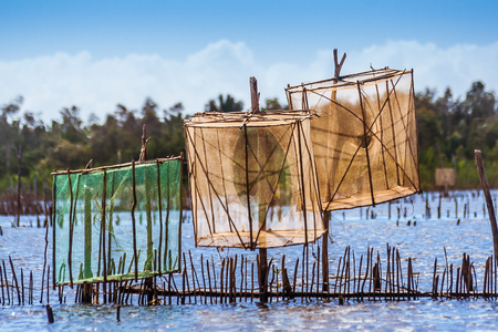Fish traps on the Pangalanes Canal, eastern Madagascarの写真素材