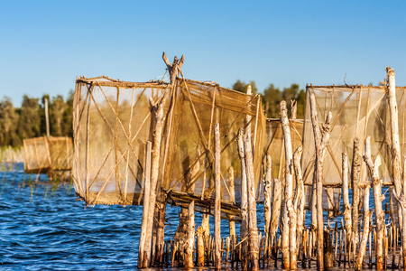 Fish traps on the Pangalanes Canal, eastern Madagascarの写真素材