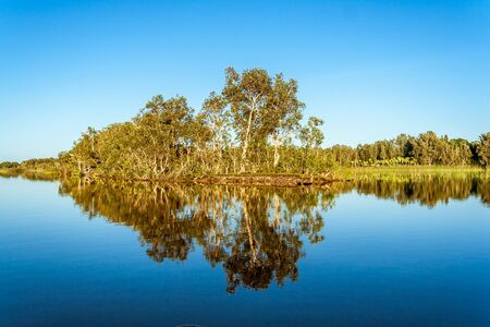 Reflections of tropical vegetation in the Pangalanes canal, east of Madagascarの写真素材
