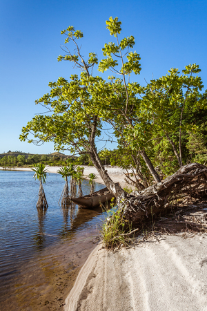 Dugout canoe beached on the Rasoabe lake, Pangalanes canal, eastern Madagascarの写真素材