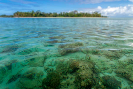 Seabed of Sainte Marie island (Nosy Boaraha), Madagascar
