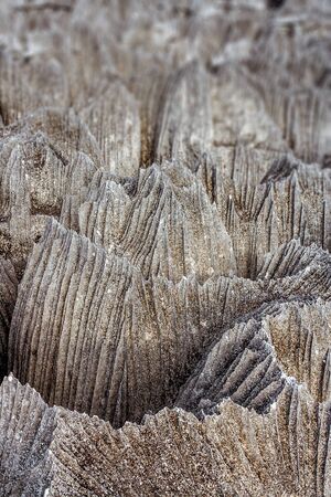 The small Tsingy de Bemaraha of Madagascar in the Tsingy de Bemaraha Integral Nature