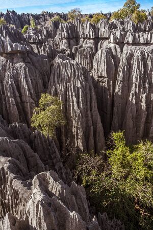 The great Tsingy de Bemaraha of Madagascar in the Tsingy de Bemaraha Integral Nature Reserve of UNESCOの写真素材