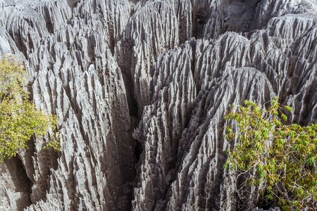 The great Tsingy de Bemaraha of Madagascar in the Tsingy de Bemaraha Integral Nature Reserve of UNESCOの写真素材