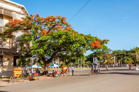 Toamasina, Madagascar, November 23, 2016: Traditional rickshaws (pousse-pousse) under a flamboyant tree in Toamasina (Tamatave), East of Madagascarのeditorial素材