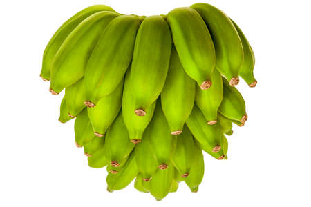 Bunch of green bananas isolated on white backgroundの写真素材