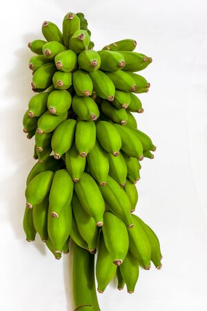 Bunch of green bananas isolated on white backgroundの写真素材